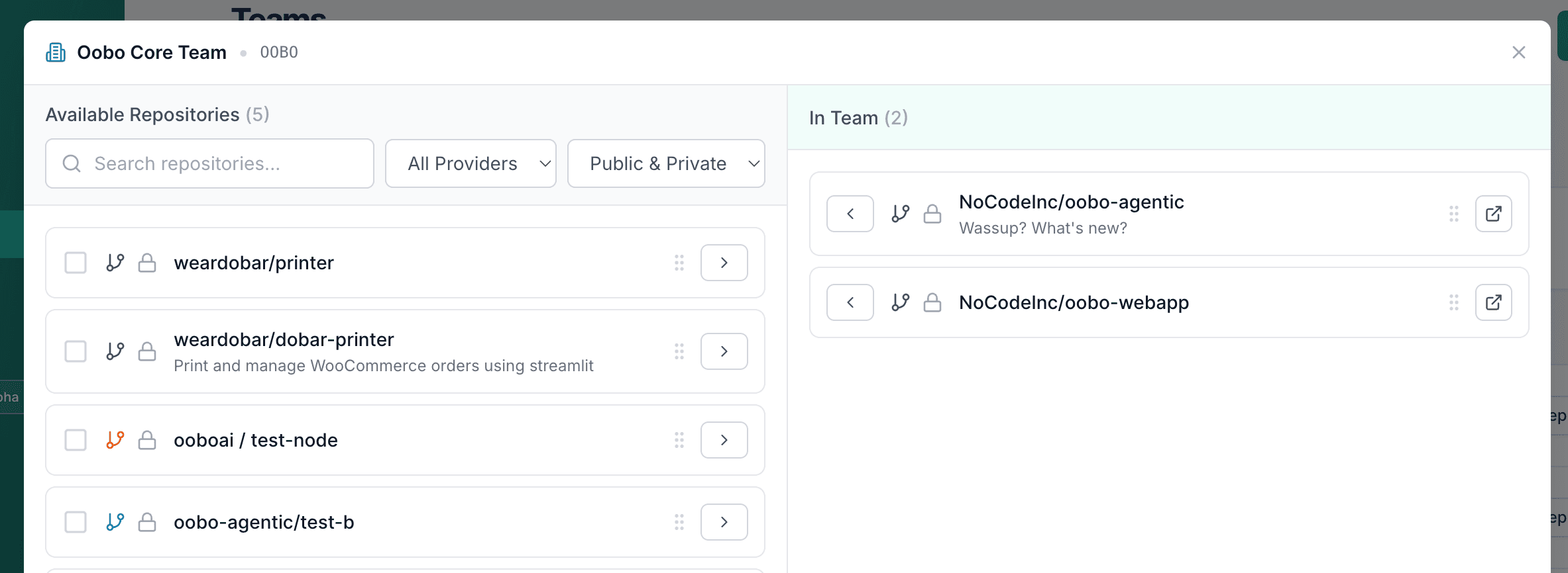 Repository assignment interface for teams