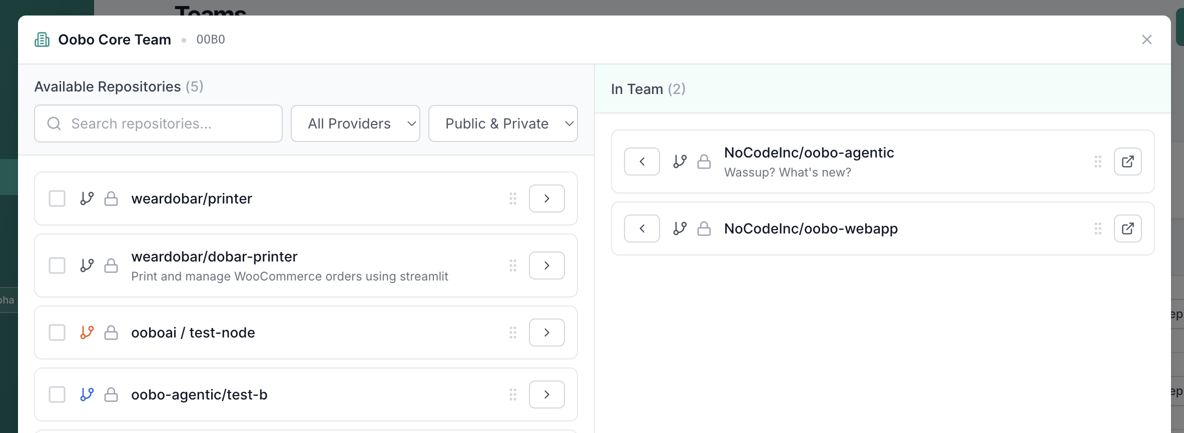Repository assignment interface for teams